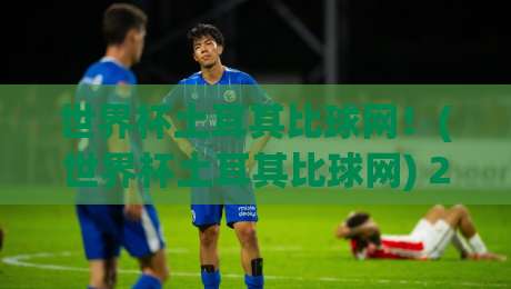 世界杯土耳其比球网!(世界杯土耳其比球网) 2026年观赛必备指南