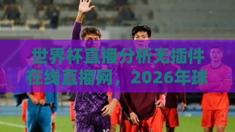 世界杯直播分析无插件在线直播网，2026年球迷必备的观赛新姿势