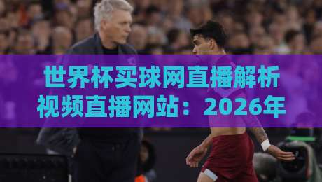 世界杯买球网直播解析视频直播网站：2026年观赛指南与平台甄选秘籍