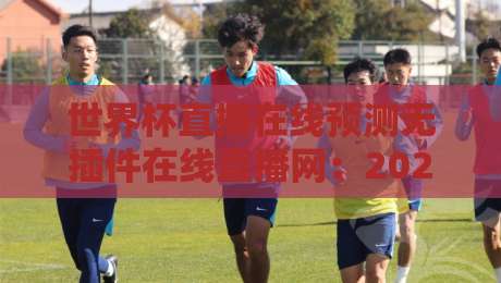 世界杯直播在线预测无插件在线直播网：2026年观赛新选择，你选对了吗？