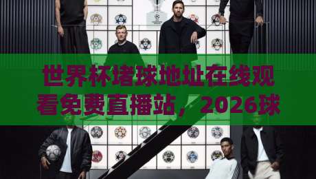 世界杯堵球地址在线观看免费直播站，2026球迷必藏的观赛指南