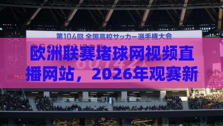 欧洲联赛堵球网视频直播网站，2026年观赛新选择——资深球迷的真实体验与避坑指南