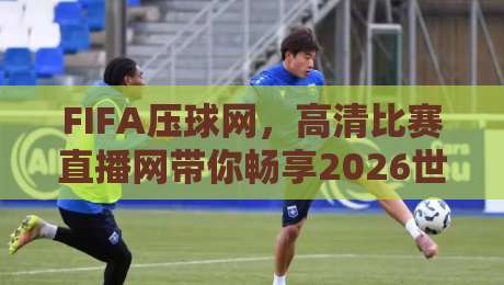 FIFA压球网，高清比赛直播网带你畅享2026世界杯全程！