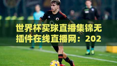 世界杯买球直播集锦无插件在线直播网：2026球迷必看的高清观赛指南