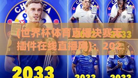 (世界杯体育直播决赛无插件在线直播网)：2026年看球新姿势，告别卡顿与广告轰炸