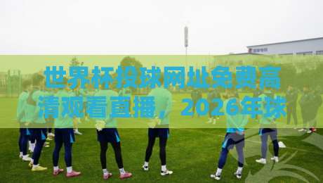 世界杯投球网址免费高清观看直播，2026年球迷必看的观赛渠道大揭秘！