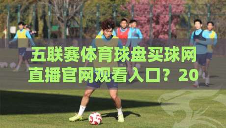 五联赛体育球盘买球网直播官网观看入口？2026年最新观赛渠道与避坑指南