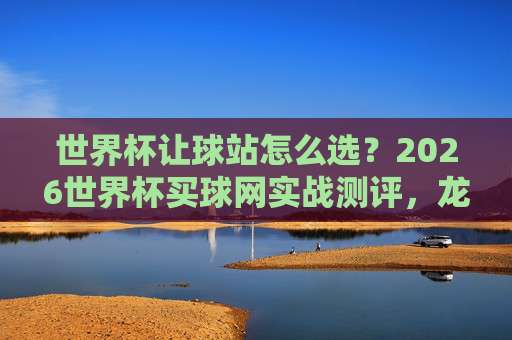 【世界杯法国赛事】：2026年高卢雄鸡能否重返巅峰？