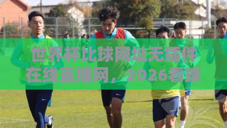世界杯比球网址无插件在线直播网，2026看球别错过这几个门道！