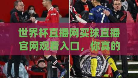 世界杯直播网买球直播官网观看入口，你真的会找吗？(世界杯直播网买球直播官网观看入口)2026年最新观赛渠道与实用避坑指南