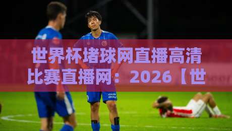 世界杯堵球网直播高清比赛直播网：2026【世界杯】观赛指南与避坑攻略