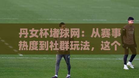 丹女杯堵球网：从赛事热度到社群玩法，这个2026年新现象到底藏着什么门道？-今日最新外围押球站受让视频半全场动画水位精彩片段