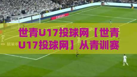 世青U17投球网【世青U17投球网】从青训赛场到数据中枢：这个平台如何让年轻投手被看见？-今晚靠谱最火体球站720P集锦软件登入上盘地址