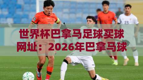 世界杯巴拿马足球买球网址：2026年巴拿马球迷如何选择可靠平台？