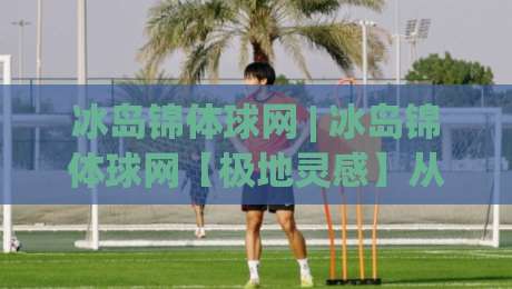 冰岛锦体球网 | 冰岛锦体球网【极地灵感】从材质到场景的完整认知-今晚靠谱最火博球站上盘地址两球半社区排行信号