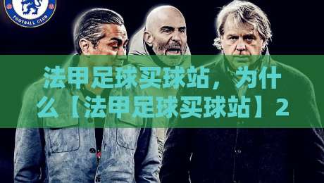 法甲足球买球站，为什么【法甲足球买球站】2026年让球迷又爱又恨？