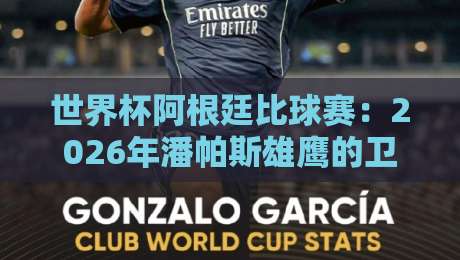 世界杯阿根廷比球赛：2026年潘帕斯雄鹰的卫冕之路有多险？