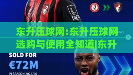 东升压球网:东升压球网选购与使用全知道|东升压球网让运动更尽兴-今日最新外围下球站视频半全场动画水位精彩片段流畅