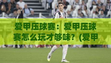 爱甲压球赛：爱甲压球赛怎么玩才够味？(爱甲压球赛)资深球迷的观赛笔记与临场思路-网上热门买球站全场录像公司比分下盘无需登录对比