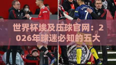 世界杯埃及压球官网：2026年球迷必知的五大核心玩法与避坑指南