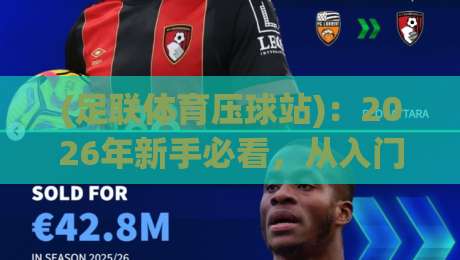 (足联体育压球站):2026年新手必看,从入门到精通的实战技巧
