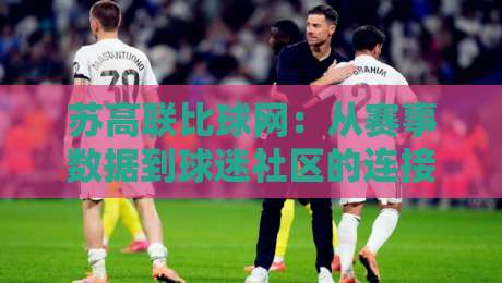 苏高联比球网：从赛事数据到球迷社区的连接枢纽，苏高联比球网如何重塑地方足球参与感？-最全手机信誉买球网链接受让视频半全场动画水位