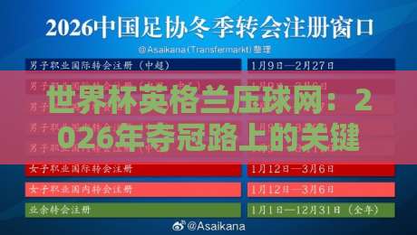 世界杯英格兰压球网：2026年夺冠路上的关键数据解析