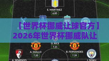 【世界杯挪威让球官方】2026年世界杯挪威队让球盘口深度解析