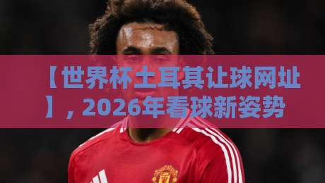 【世界杯土耳其让球网址】, 2026年看球新姿势？老司机带你避开那些坑