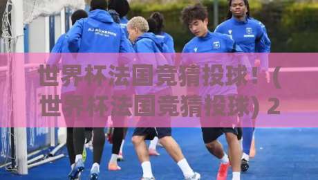 世界杯法国竞猜投球！(世界杯法国竞猜投球) 2026年全新指南：投球策略、赔率分析与实战案例详解