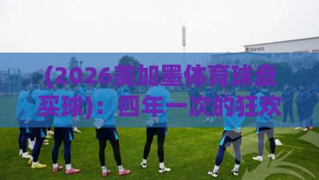(2026美加墨体育球盘买球)：四年一次的狂欢，你的钱包准备好了吗？