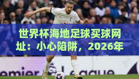 世界杯海地足球买球网址:小心陷阱,2026年球迷必读的避坑指南
