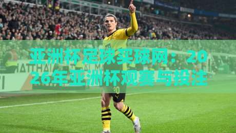 亚洲杯足球买球网：2026年亚洲杯观赛与投注平台安全指南，让你看球不踩坑