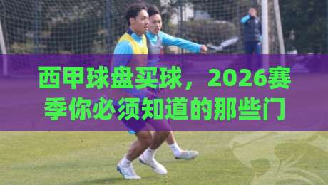 西甲球盘买球，2026赛季你必须知道的那些门道(西甲球盘买球)