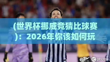 (世界杯挪威竞猜比球赛):2026年你该如何玩转北欧黑马?
