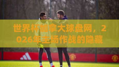 世界杯加拿大球盘网,2026年主场作战的隐藏玩法?(世界杯加拿大球盘网)别错过这些数据