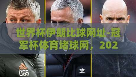 世界杯伊朗比球网址-冠军杯体育堵球网，2026观赛新视角