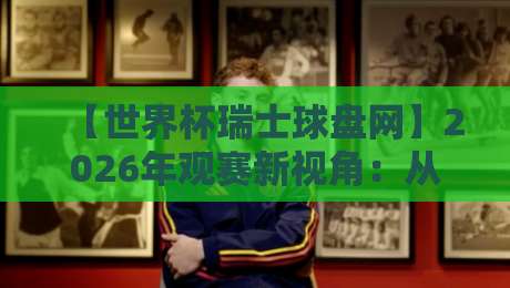 【世界杯瑞士球盘网】2026年观赛新视角:从数据解码到实战心得