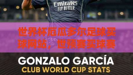 世界杯厄瓜多尔足球买球网站,世预赛买球赛这样选平台才靠谱