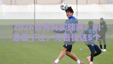 2026世界杯买球赛:别急着下注,先看懂这5个隐藏门道