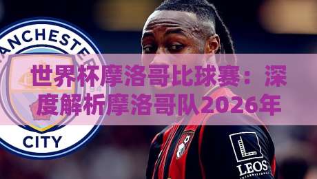 世界杯摩洛哥比球赛:深度解析摩洛哥队2026年世界杯晋级之路与战术亮点