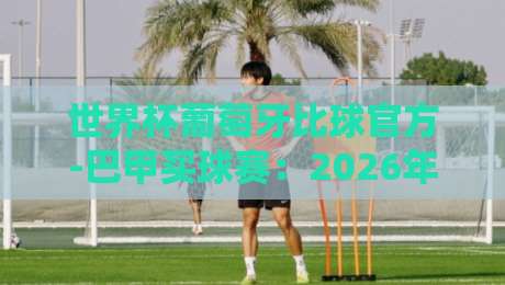 世界杯葡萄牙比球官方-巴甲买球赛：2026年球迷必看的五大真相
