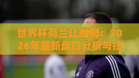 世界杯荷兰让球网：2026年最新盘口分析与投注策略（荷兰让球网）