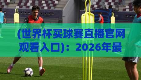 (世界杯买球赛直播官网观看入口)：2026年最靠谱的观赛渠道与避坑指南