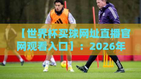 【世界杯买球网址直播官网观看入口】：2026年看球路上，你该避开的那些坑