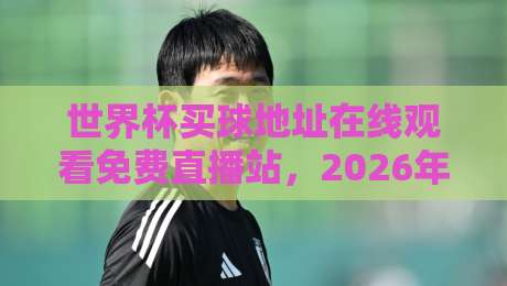 世界杯买球地址在线观看免费直播站，2026年最全观赛指南